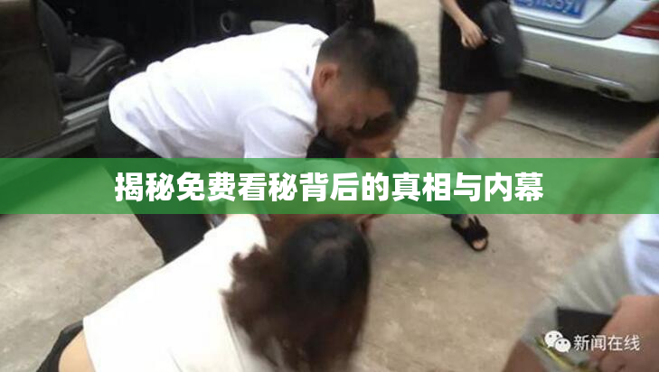 揭秘免费看秘背后的真相与内幕