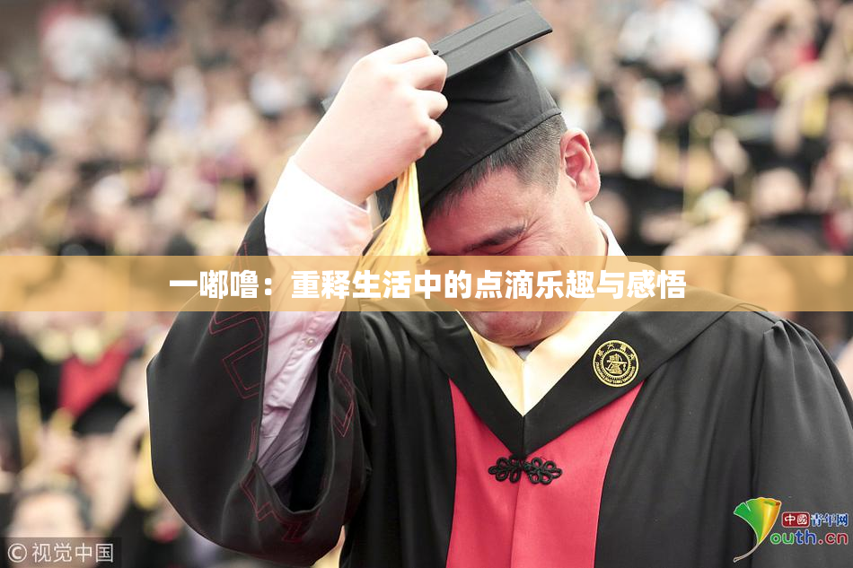 一嘟噜：重释生活中的点滴乐趣与感悟