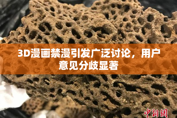 3D漫画禁漫引发广泛讨论，用户意见分歧显著