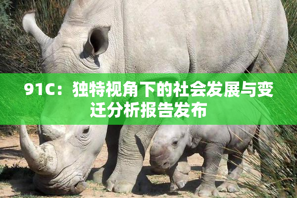 91C：独特视角下的社会发展与变迁分析报告发布
