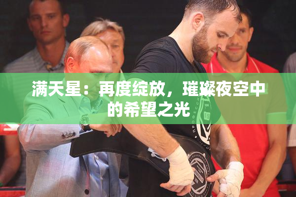 满天星：再度绽放，璀璨夜空中的希望之光