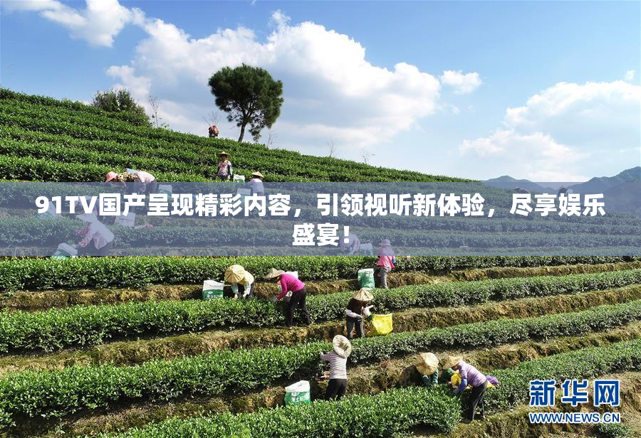 91TV国产呈现精彩内容，引领视听新体验，尽享娱乐盛宴！