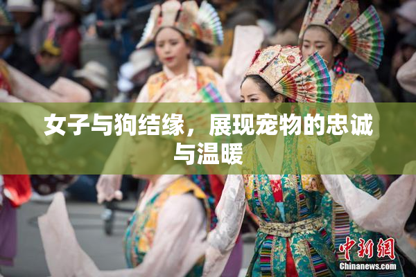 女子与狗结缘，展现宠物的忠诚与温暖