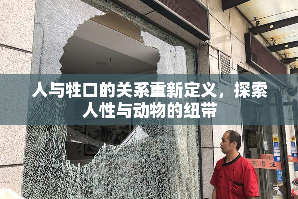 人与牲口的关系重新定义，探索人性与动物的纽带