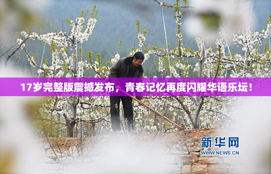 17岁完整版震撼发布，青春记忆再度闪耀华语乐坛！