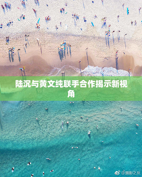陆沉与黄文纯联手合作揭示新视角