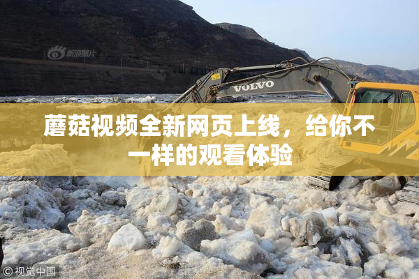 蘑菇视频全新网页上线，给你不一样的观看体验