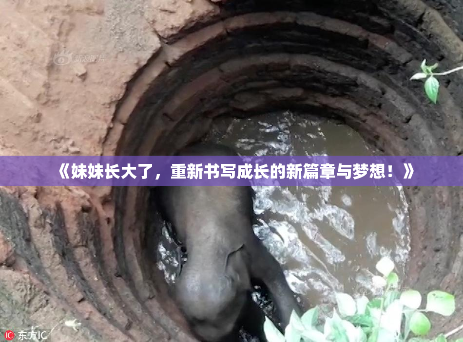 《妹妹长大了，重新书写成长的新篇章与梦想！》