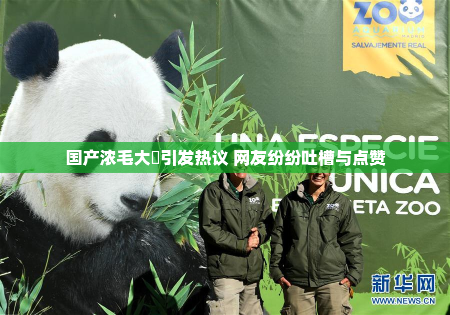 国产浓毛大泬引发热议 网友纷纷吐槽与点赞