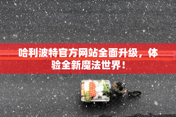 哈利波特官方网站全面升级，体验全新魔法世界！