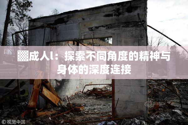 ▓成人l：探索不同角度的精神与身体的深度连接