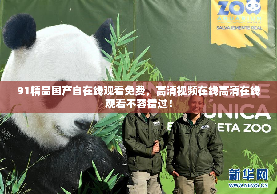 91精品国产自在线观看免费，高清视频在线高清在线观看不容错过！