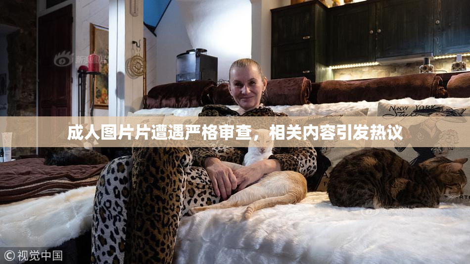 成人图片片遭遇严格审查，相关内容引发热议