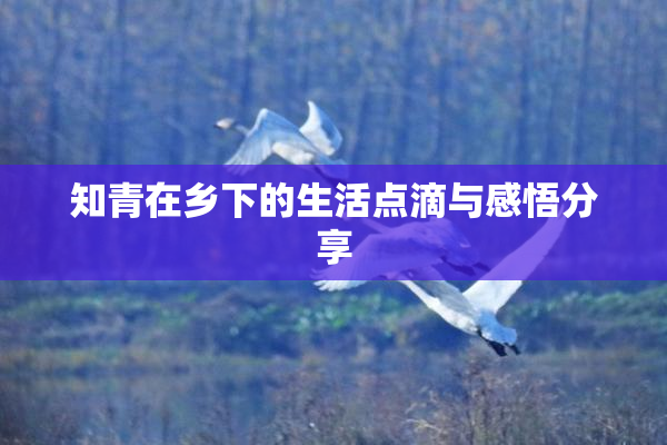 知青在乡下的生活点滴与感悟分享