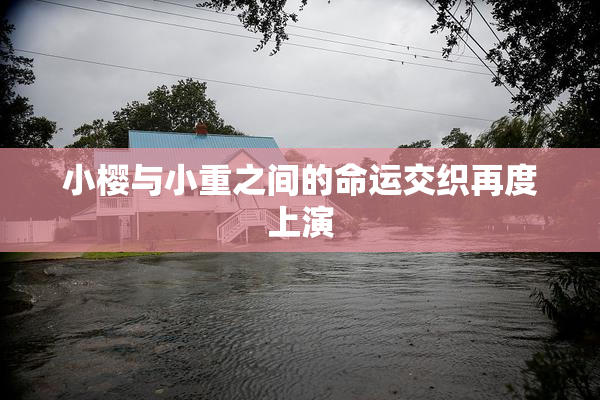 小樱与小重之间的命运交织再度上演
