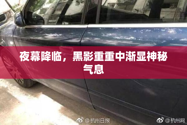 夜幕降临，黑影重重中渐显神秘气息