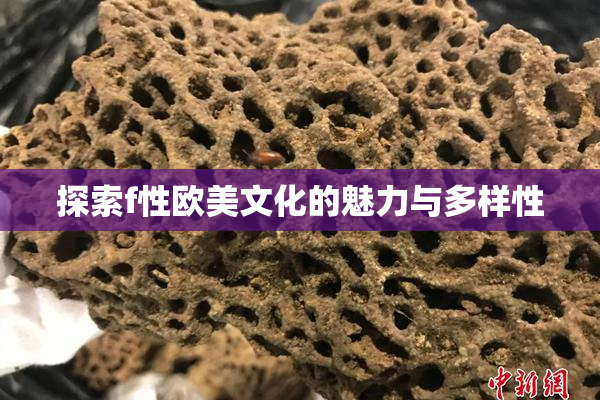 探索f性欧美文化的魅力与多样性