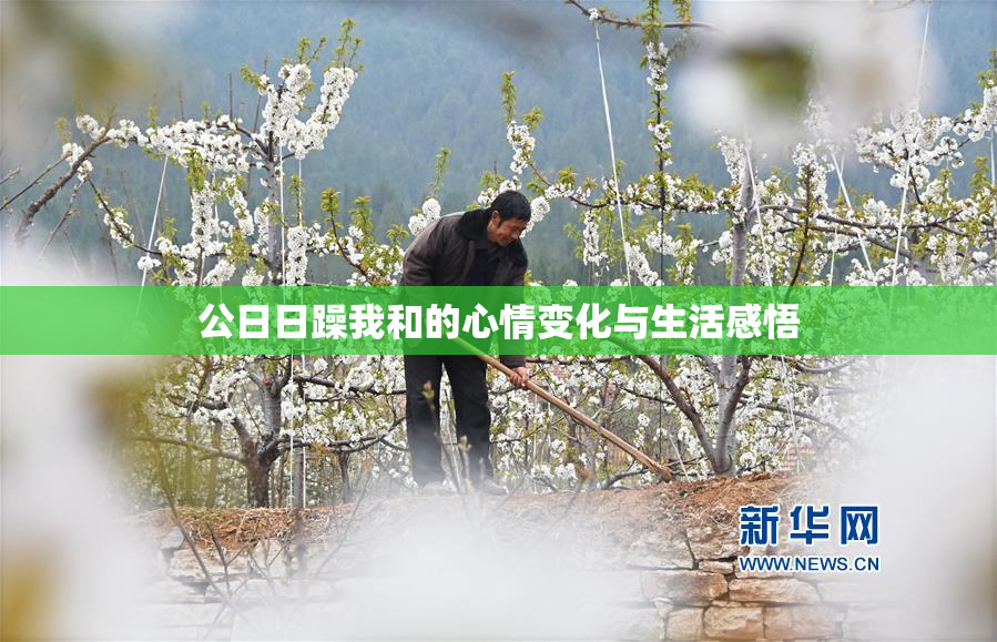 公日日躁我和的心情变化与生活感悟