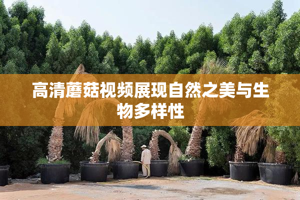 高清蘑菇视频展现自然之美与生物多样性