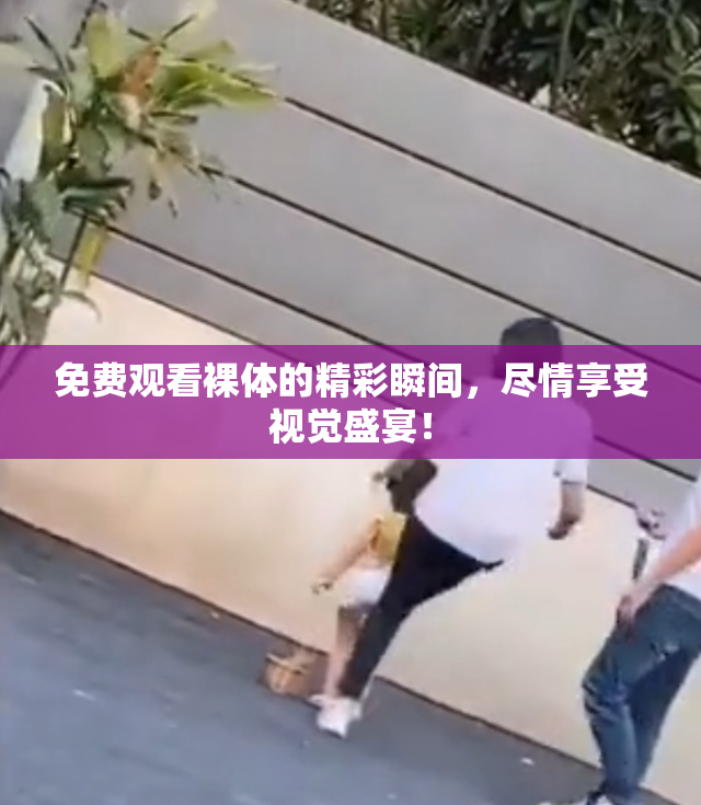 免费观看裸体的精彩瞬间，尽情享受视觉盛宴！