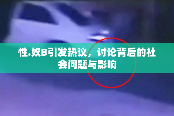 性.奴B引发热议，讨论背后的社会问题与影响