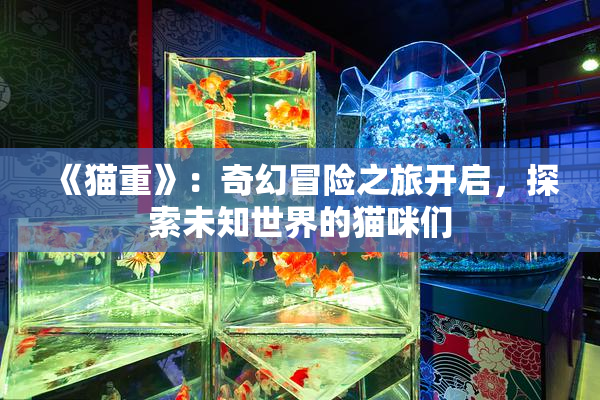 《猫重》：奇幻冒险之旅开启，探索未知世界的猫咪们