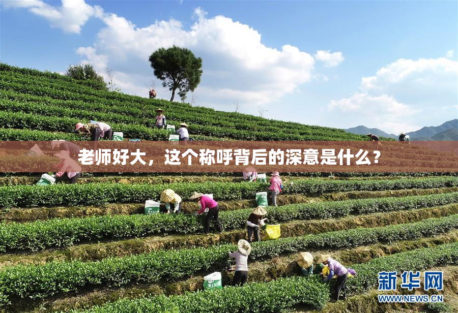 老师好大，这个称呼背后的深意是什么？
