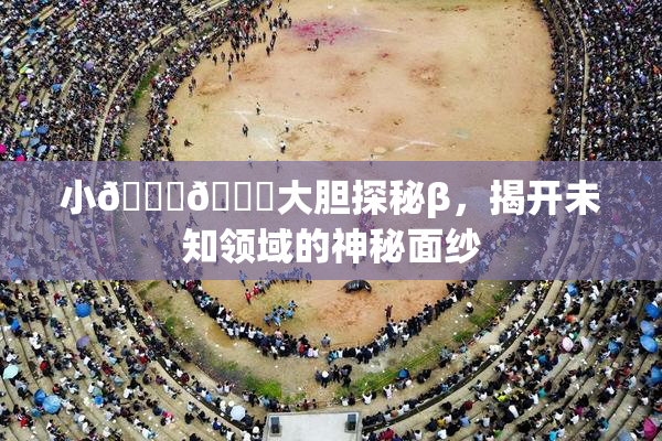 小🐔🐔大胆探秘β，揭开未知领域的神秘面纱