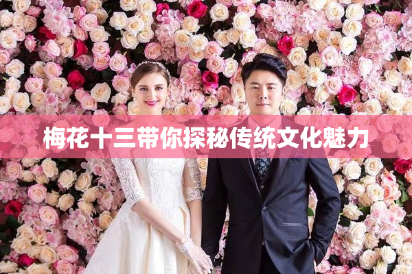 梅花十三带你探秘传统文化魅力