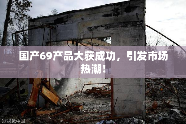 国产69产品大获成功，引发市场热潮！