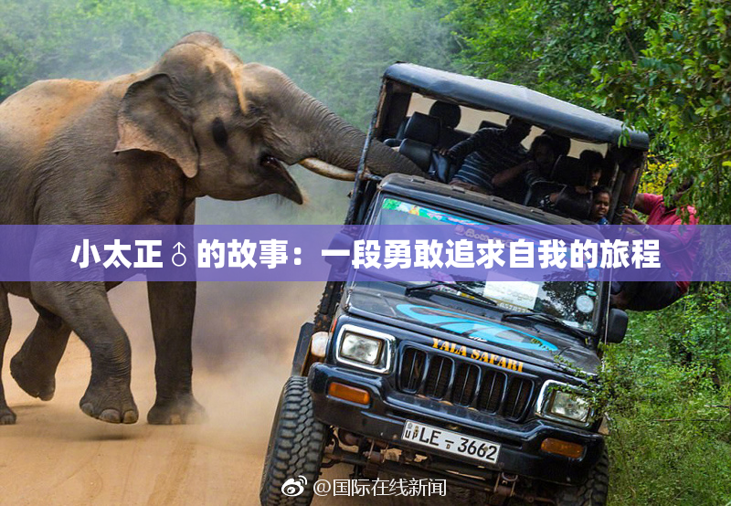 小太正♂的故事：一段勇敢追求自我的旅程