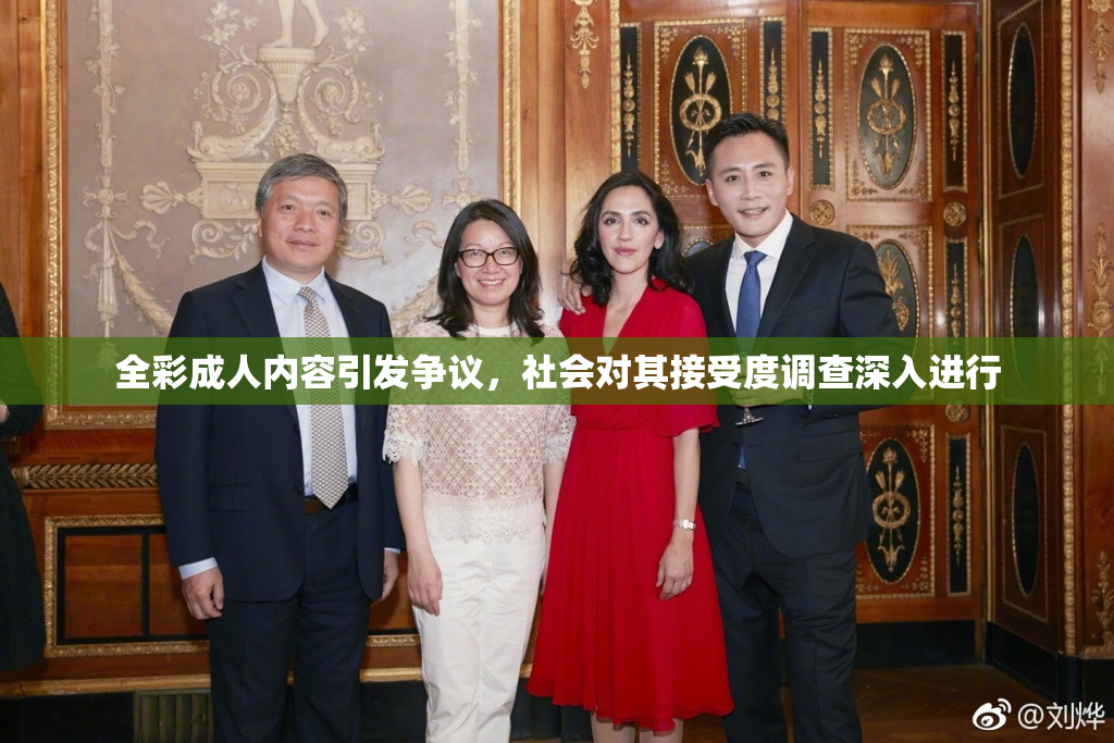 全彩成人内容引发争议，社会对其接受度调查深入进行