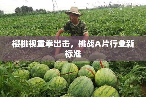 樱桃视重拳出击，挑战A片行业新标准