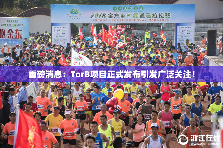 重磅消息：TorB项目正式发布引发广泛关注！