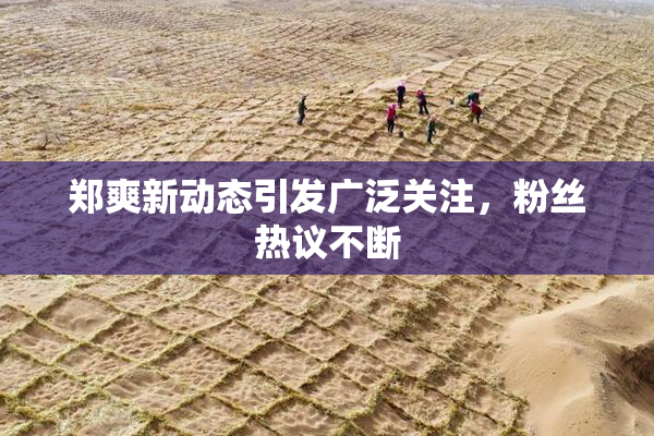 郑爽新动态引发广泛关注，粉丝热议不断
