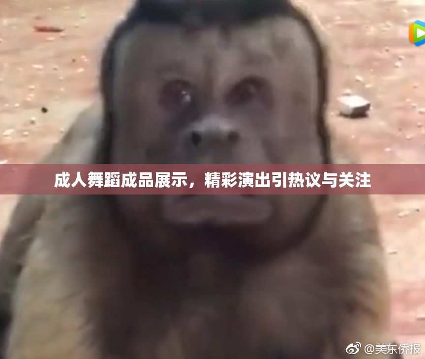 成人舞蹈成品展示，精彩演出引热议与关注
