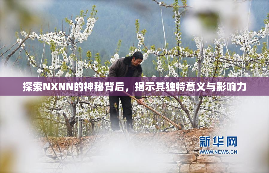 探索NXNN的神秘背后，揭示其独特意义与影响力
