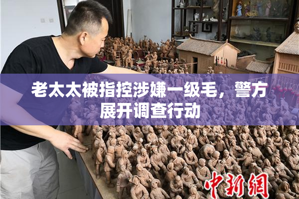 老太太被指控涉嫌一级毛，警方展开调查行动