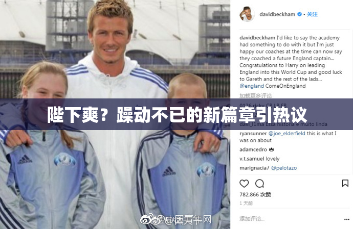 陛下爽？躁动不已的新篇章引热议