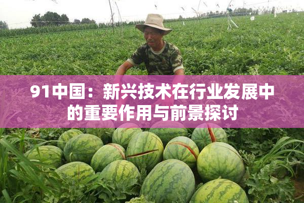 91中国：新兴技术在行业发展中的重要作用与前景探讨
