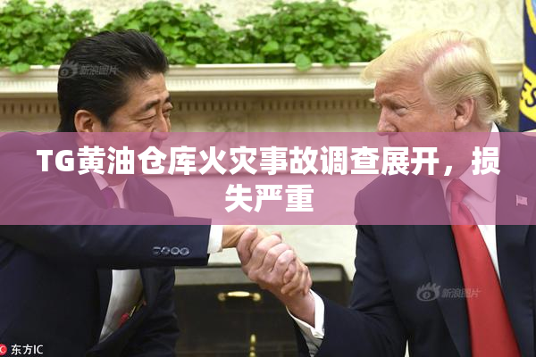 TG黄油仓库火灾事故调查展开，损失严重