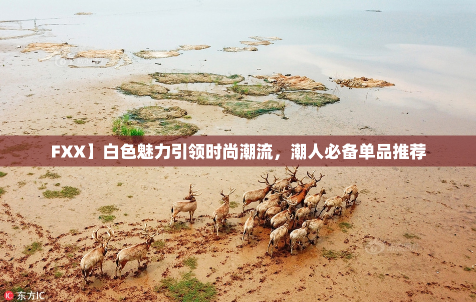 FXX】白色魅力引领时尚潮流，潮人必备单品推荐
