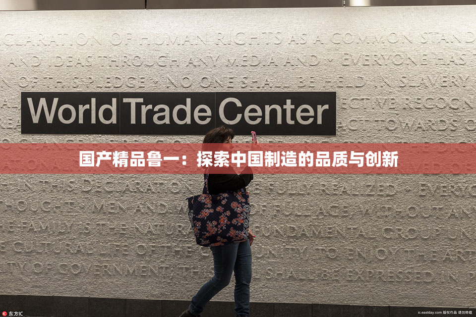 国产精品鲁一：探索中国制造的品质与创新