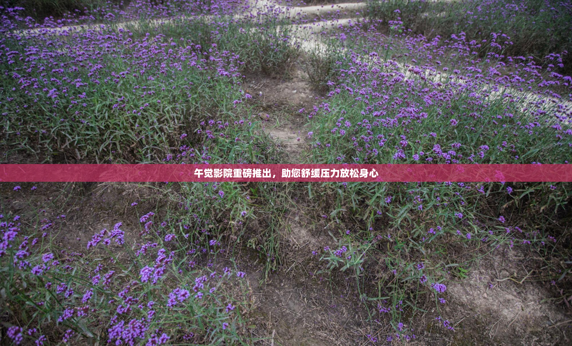 午觉影院重磅推出，助您舒缓压力放松身心