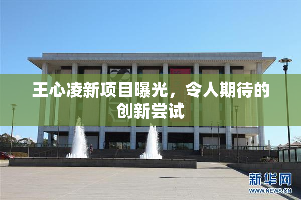 王心凌新项目曝光，令人期待的创新尝试