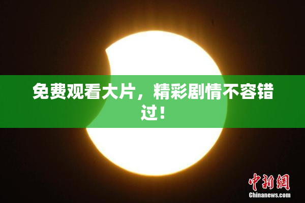 免费观看大片，精彩剧情不容错过！