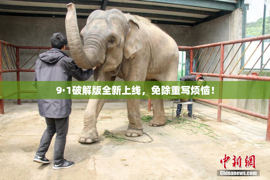 9·1破解版全新上线，免除重写烦恼！