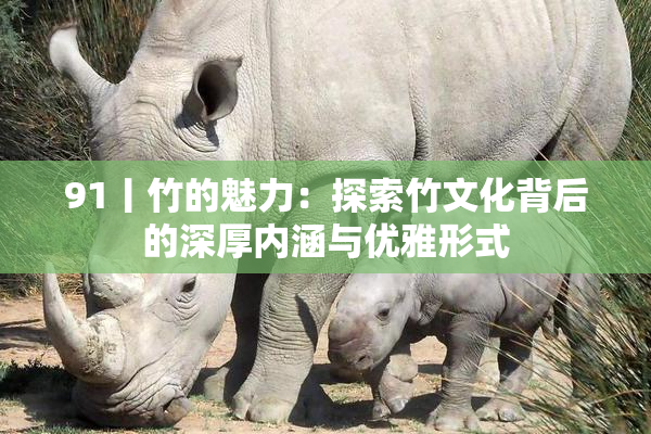 91丨竹的魅力：探索竹文化背后的深厚内涵与优雅形式