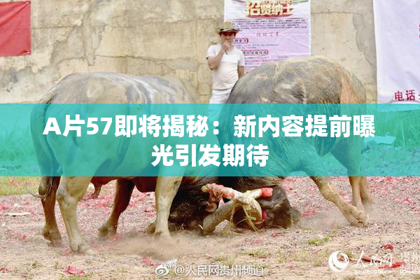 A片57即将揭秘：新内容提前曝光引发期待