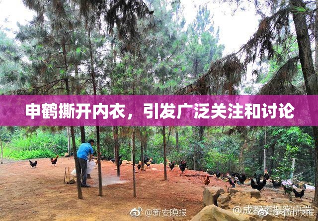 申鹤撕开内衣，引发广泛关注和讨论